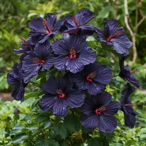 Гибискус Мэджик Момент купить по цене от 699р. в интернет-магазине «Посадика» с доставкой почтой в в Бавлые и по всей России – [изображение №1].