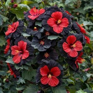 Гибискус Шиммеринг купить по цене от 720р. в интернет-магазине «Посадика» с доставкой почтой в в Бавлые и по всей России – [изображение №1].